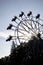 Blossom Time Ferris Wheel