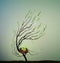 Blossom tree with Easter s eggs nest, Easter decoration,
