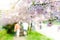 Blossom trees and flowers in a park. Beautiful spring nature view with people. Trees and sunlight. Scene of sunny day. Natural bac