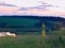 Blossom of verbascum or velvet plant in a beautiful, pastoral summer late evening landscape