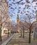 Blossom Views around oozell square -Uk