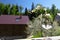 Blossoming apple tree on the background of houses