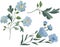 Blossoming blue spring flowers on white background. Vector illustration. linum perenne