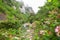 The blossoming bush raspberry against the background of the mountain river