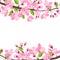 Blossoming cherry spring background. Apple tree of branch flowers and buds frame for text.