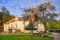 Blossoming cherry tree by Planinka hunting chateau during sunset