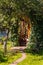 Blossoming garden with view on a verandah