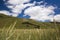 THE BLOSSOMING OF GRAND PLANE OF CASTELLUCCIO DI NORCIA