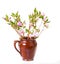 The blossoming Labrador tea branches with pink colors in a ceramic pot