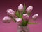 Blossoming light pink tulips, bright springtime bouquet floral card, selective focus 2