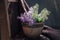 The blossoming lilac branches in clay a pot on the old wooden chair covered woolen a handmade plaid, close up