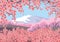 Blossoming Oriental cherry and mountain