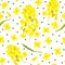 Blossoming Rapeseed, flowers, seeds, leaf seamless pattern isolated. Canola or colza. Brassica napus. Yellow blooming