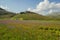 Blossoming time in Castelluccio di Norcia, Italy