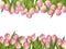 Blossoming tulips decorative border. EPS 10
