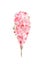 Blossoming watercolor pink tree. Spring flower in bloom on branch. Beautiful