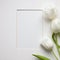 Blossoming White Tulip Flowers And A Paper Card On White Background.