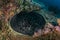 Blotched fantail ray, Taeniura meyeni in tropical deep blue water of Andaman sea