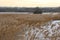 Blow, Blow Thou Winter Wind - Avalon Marshes, Somerset, UK