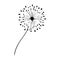 Blow Dandelion on white background. Hand Vector Illustration