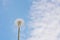 Blowball dandelion on a background of blue clear sky