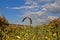 Blower pipe from a chopper and corn stalks