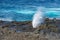 Blowhole eruption by the Pacific Ocean, Galapagos, Ecuador