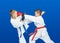 Blows punching and kicking in the performance of athletes in karategi