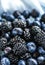 bluberries and blackberries - fresh fruits and healthy eating styled concept