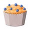 Bluberry muffin dessert. Chcolate cupcake