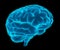 Blue 3d human brain model