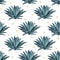 Blue agave vector seamless pattern. Background for tequila packs, superfood with agave syrop, and other. Succulent
