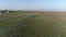 Blue aircraft takes off over field against sky and horizon line in spring