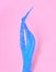 Blue aloe vera on pink paper background. Trendy minimal pop art style and colors.