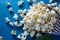 Blue ambiance popcorn kernels create a striking scene on blue