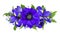 Blue anemones, irises and forget-me-not Brunnera flowers in a floral arrangement isolated