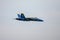 Blue Angels Pilot visible in F-18 Hornet