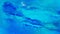 Blue Aquarelle Texture Image