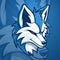 Blue Arctic Fox Mascot Logo Design Vector: Modern Illustration for Esport and Sport Team