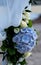 Blue arrangement with white roses