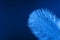 Blue artificial feather close up