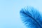 Blue artificial feather close up