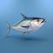 Blue background with fish swimming in center. This fish is an Atlantic tuna, which has distinctive yellow fin and tail