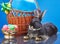 On a blue background rabbit lies near vase with Easter eggs and a basket with a balloon