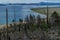 Blue Baikal lake. Dry dead brocken trunks stumps among felled trees and green bushes after fire in grass on slope of mountain.