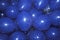 Blue Balloons, Democratic National Convention, Los Angeles, California