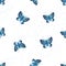 The blue beautiful butterfly is isolated on a white background. Insect drawing with pencils. Seamless pattern for design