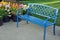 Blue bench and tulips