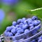 Blue berries