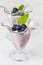 Blue berry yoghurt